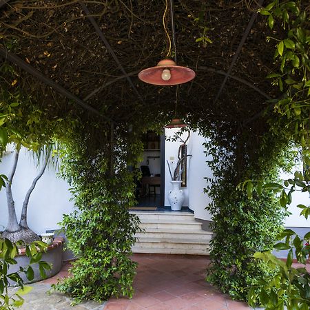 Villa Gio B&B De Charme Montecorice Ngoại thất bức ảnh