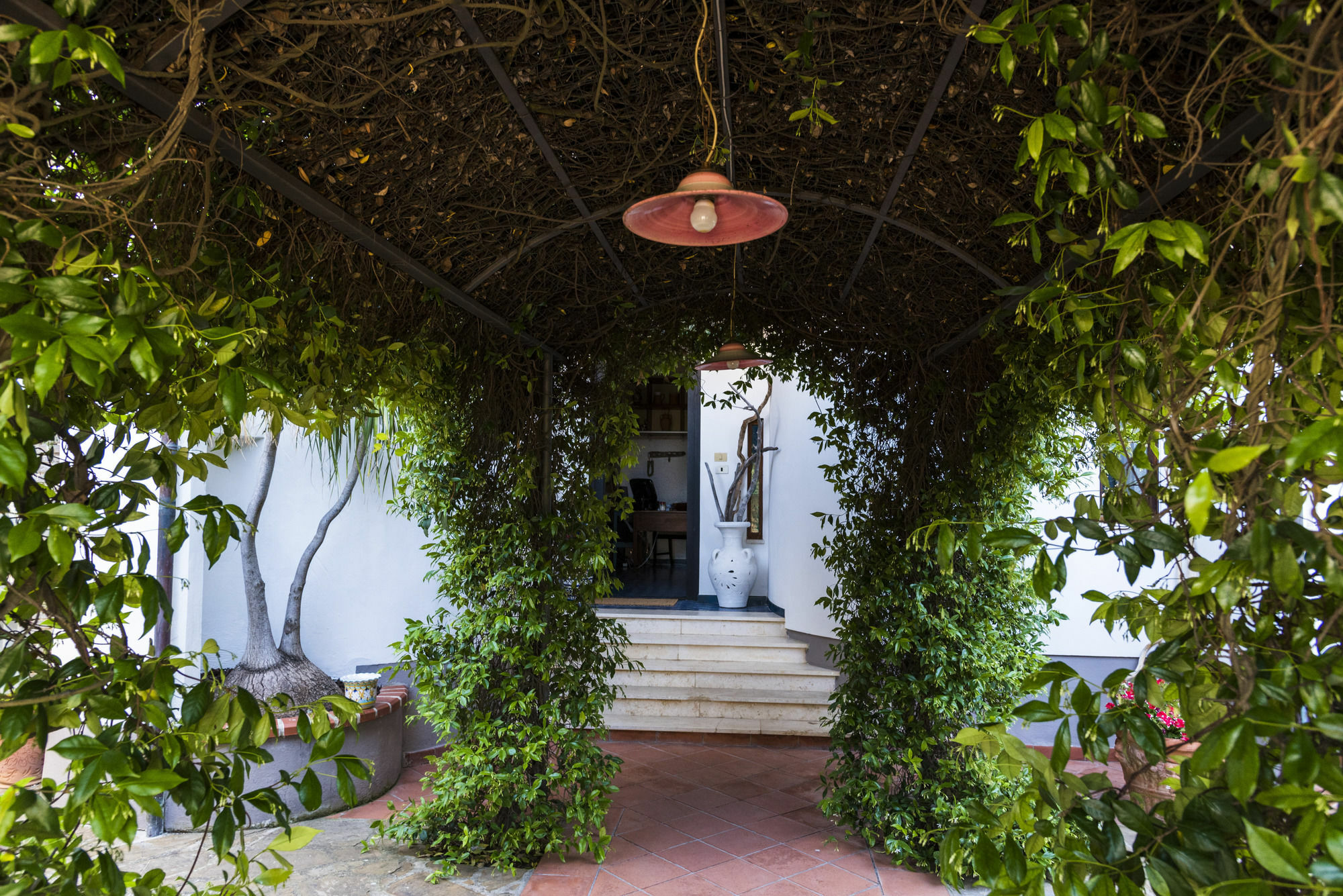 Villa Gio B&B De Charme Montecorice Ngoại thất bức ảnh